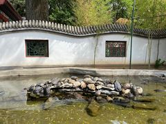 -红螺寺