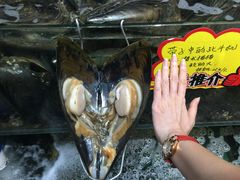 -蚝专家(北滘店)
