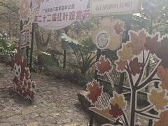 -广州市石门国家森林公园