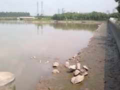 -黄埔古港