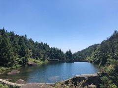 -玉苍山国家森林公园