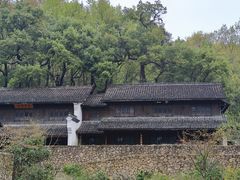 -杭州植物园