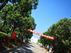 -上海都市菜园