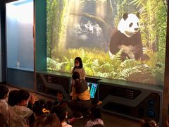 -珠海横琴国家地理探险家中心(创新方)