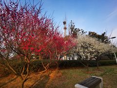 -石湖景区