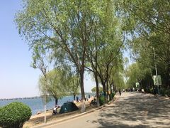 -丁香湖公园