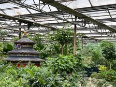 -南宫五洲植物乐园