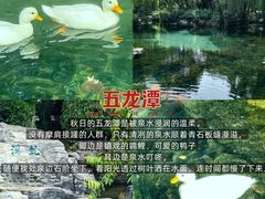 -济南恒隆广场