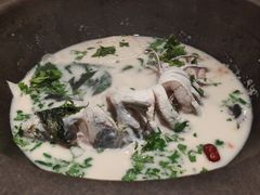 -鲜潭蒸汽石锅鱼(五道口购物中心店)