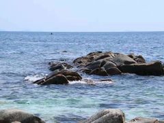 -东姑阿都拉曼海洋公园