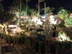 -花溪雨·森林餐厅(石基店)