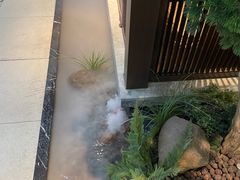 -老头儿油爆虾(星光一期店)