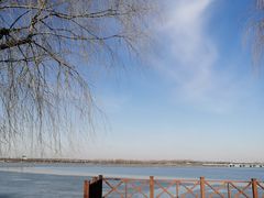 -丁香湖公园