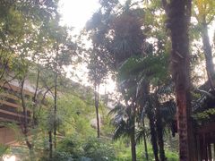 -大妙火锅·非物质文化遗产(东湖公园店)