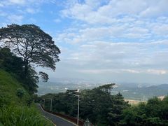-黄埔油麻山森林公园