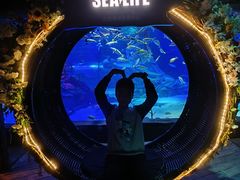 -沈阳海洋探索中心