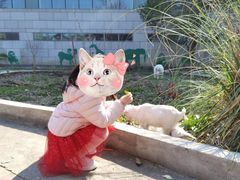 -上海佘山世茂艾美酒店