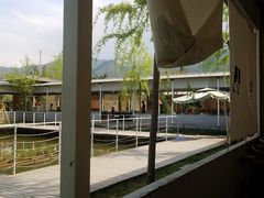-午后庭院