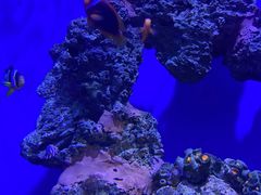 -海合安武汉极地海洋公园