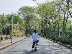 -浙江农林大学(东湖校区)