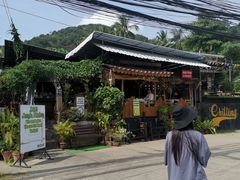 -Jungle Kitchen
