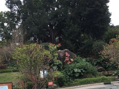 -乌山风景区