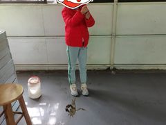 钓到的螃蟹-小象钓虾·营地烧烤(洛溪店)