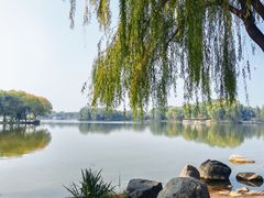 -石家庄市植物园