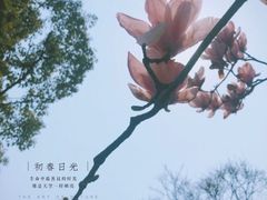 -艾溪湖湿地公园