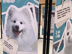 -大洋晶典(东街店)