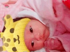 -田螺阿姨自营月嫂·育儿嫂(高新店)