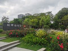 -松坪山公园