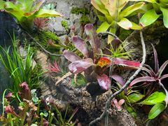 -Rabbit Cafe私房西餐甜点咖啡(栖霞路店)