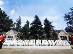 -日照海滨国家森林公园