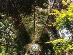 -The Grounds of Alexandria