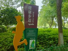 -金银湖国家城市湿地公园