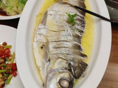 -鲁宴·鲁煨黄河生态大鲤鱼(月坛店)