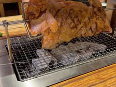 -柿子树炭烤羊腿(金台路店)