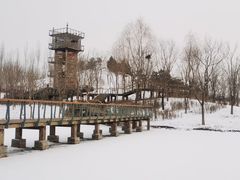 -东郊湿地公园