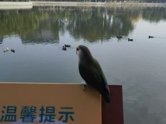 -中国农业博物馆