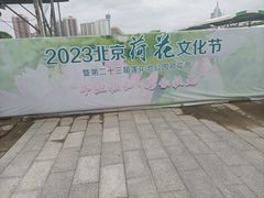 -莲花池公园