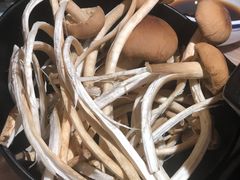 -探窝·竹笙椰子鸡(杨箕店)