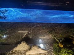 -华夏良子·足道SPA艾灸(金皇大厦店)