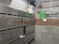 -金兰花