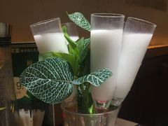 -探窝·竹笙椰子鸡(杨箕店)