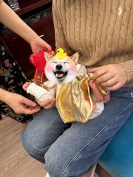 点击看大图 -馨月汇·独栋月子会所(静安店)