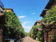 -美的鹭湖森林度假区