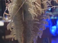 -阳光码头海鲜火锅(世纪大道店)
