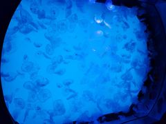 -沈阳海洋探索中心