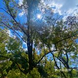 不是云南！真的是乐山…氛围感已拉满[流泪]吼吼看…